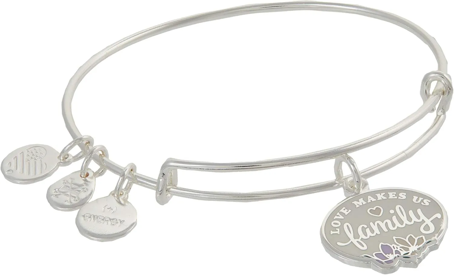 Alex and Ani Celebrate Family Expandable Wire Bangle