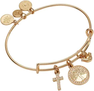 Alex and Ani Faith and Family Tree of Life