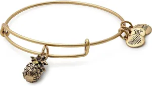 Alex and Ani Path of Symbols Expandable Bangle for Women, Pineapple Charm, Rafaelian Finish, 2 to 3.5 in