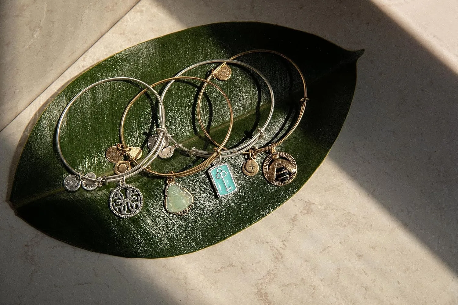 Alex and Ani Path of Symbols, Path of Life Bracelet