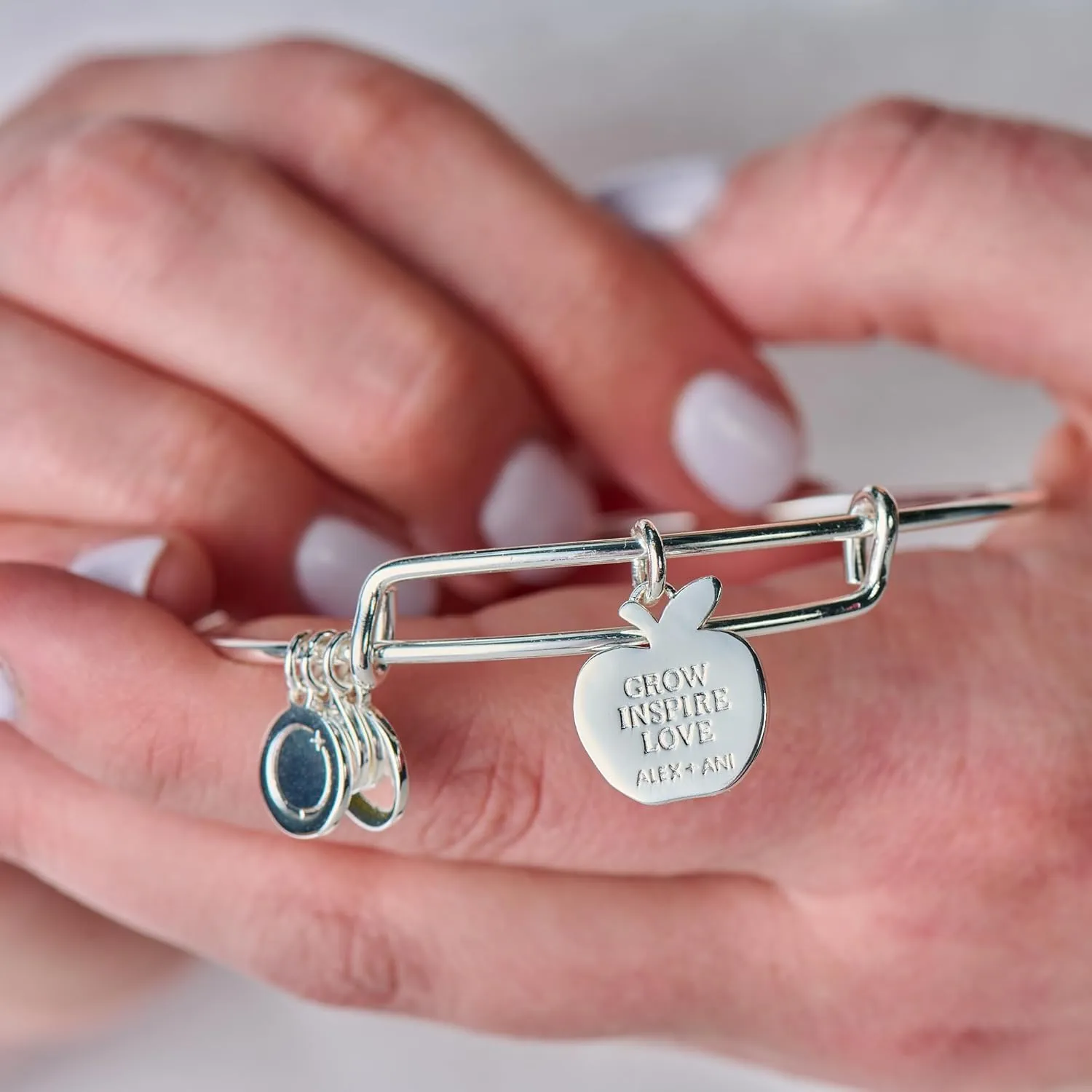 Alex and Ani Teacher Appreciation Bracelet
