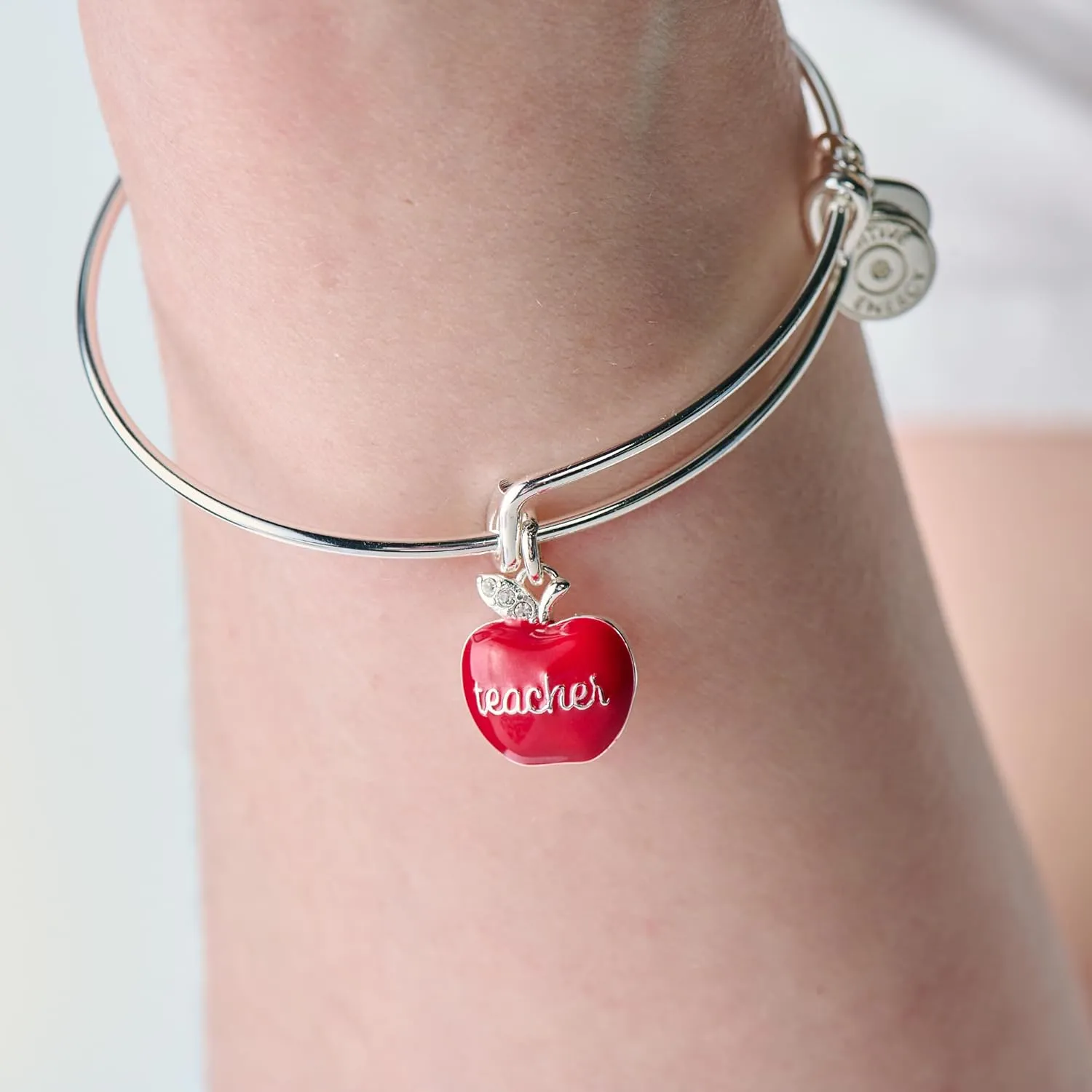 Alex and Ani Teacher Appreciation Bracelet