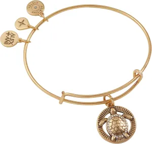 Alex and Ani Turtle Charm Bangle Bracelet, Shiny Gold Finish, 2 to 3.5 in