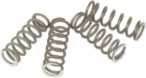 BBR Motorsports Clutch Springs Heavy Duty Chrome