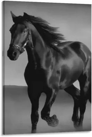 Black Mustang Brown Horse Running in The Prairie Black Unique Home Office Art Posters (2)(1) Canvas Wall Art Prints for Wall Decor Room Decor Bedroom Decor Gifts 16x24inch(40x60cm) Frame-Style