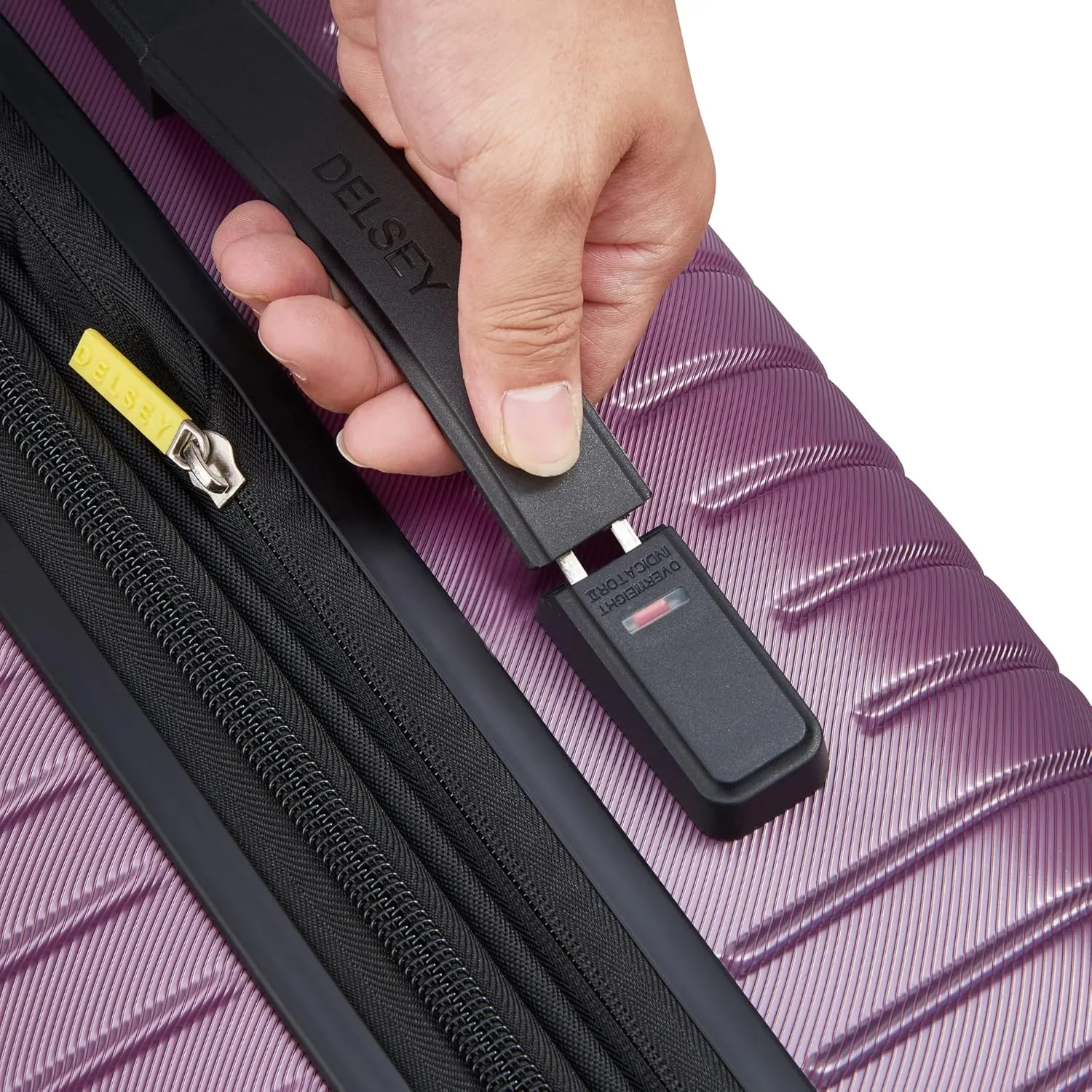 DELSEY PARIS Cruise 3.0 Hardside Expandable Luggage with Spinner Wheels, Plum, Checked-Medium 24 Inch