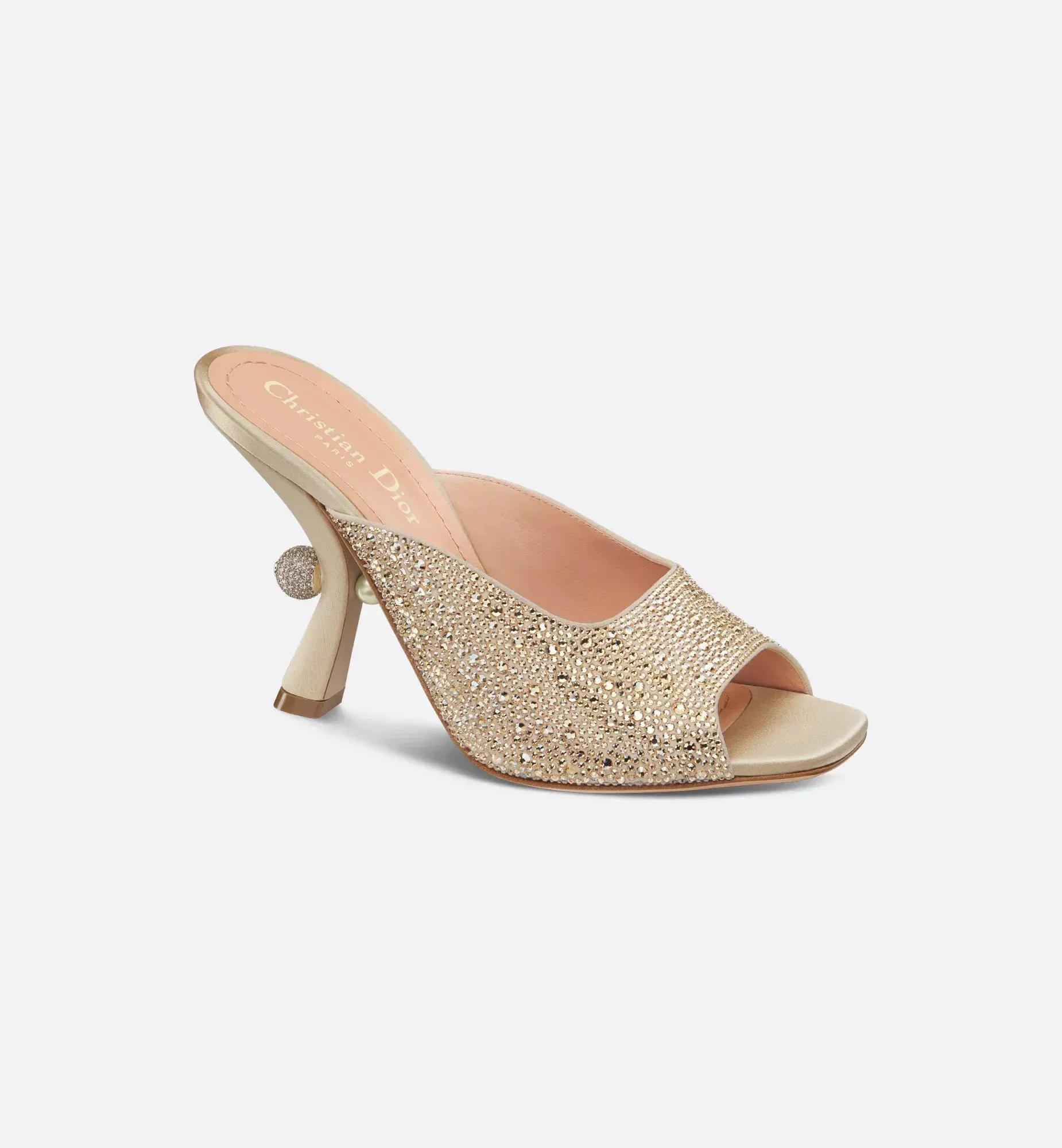 Dior Or Dior Tribales Heeled Slide