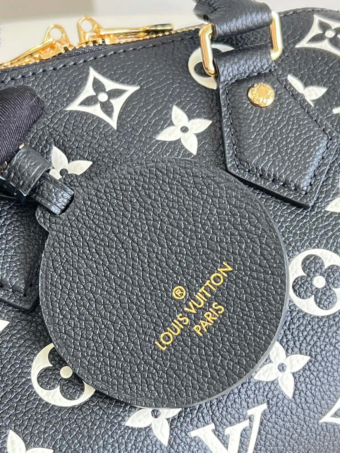 Louis Vuitton Speedy Bandouliere 20 Bag
