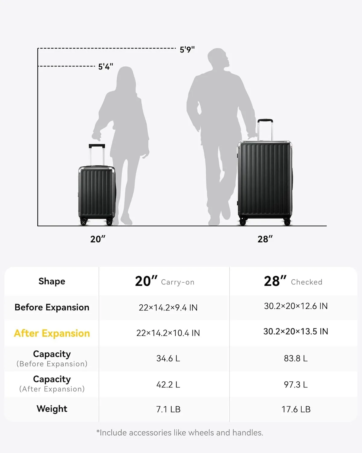 LUGGEX 28 Inch Luggage with Spinner Wheels, PC Expandable Hard Shell Suitcases Large Checked Luggage, Silver