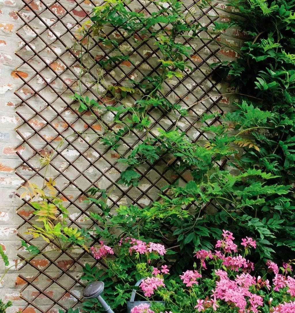 Nature Willow Trellis Expandable Plant Support Plant Climbing Lattices Trellis Willow Expandable Trellis Fence for Climbing Plants Support 36x92 Inch,Double Panel (1, Willow Wicker Fence)