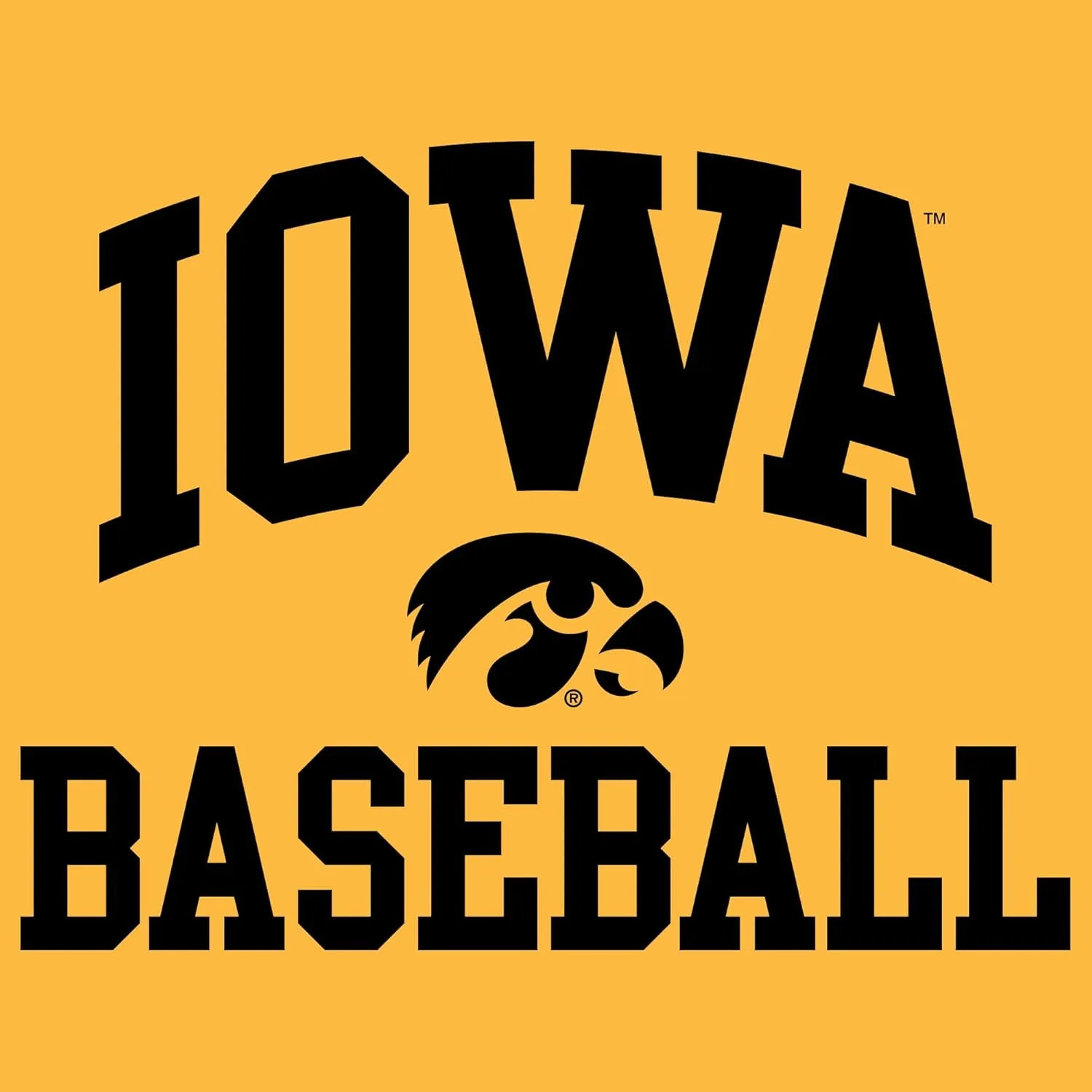 NCAA Arch Logo Baseball, Team Color Long Sleeve, College, University