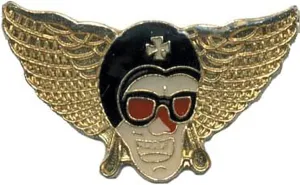 Pack of 12 Aviator Head With Wings Bike Motorcycle Hat Cap Lapel Pin HP4571