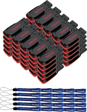 SanDisk Cruzer Blade 16GB (50 Pack) USB 2.0/3.0 Flash Drive Jump Drive Pen Drive SDCZ50-016G - with (25) Everything But Stromboli (tm) Lanyard